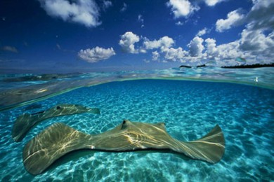 ·: [ݻ֮6-5] ̴ɽ++ʯɽ+ɳ̲++帡Ǳ+ | ˽Ұ