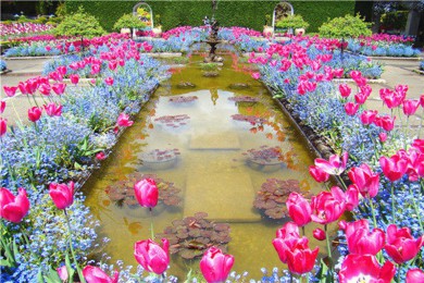 ú·: [ô¸绪ά6Ʒ]֮|ɫ·