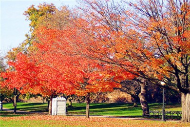 ˹ٿ·: [Ѥͷ㾫ѡ1] 