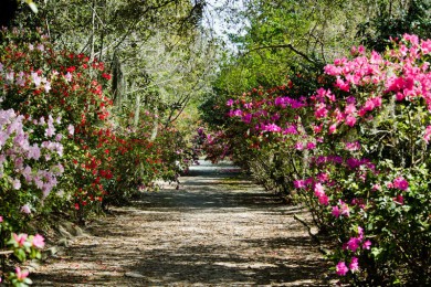 ˹δ·: [ʷ3] ˹++ʲά+Ħׯ԰|Լźĸȫ԰ľׯ԰