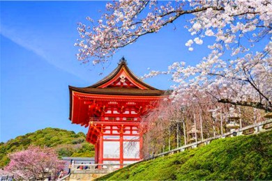 ·: [ձо86]++ʿɽ++++ | гֳ̻*Ƶ