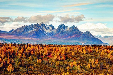 ׾·: []-ݵٶ-ֵ-ɽȫλ̽ð˹ļȫ