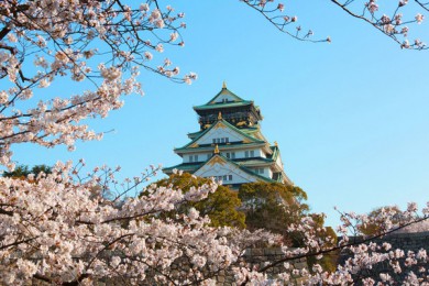 ·: [ձϷ6]++ú++ | ɣ6*˽С2˳