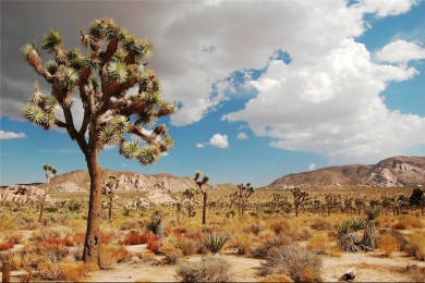 ͳͼݺͲ·: Լǹҹ԰+ͳͼ+һΡ*Ʊ