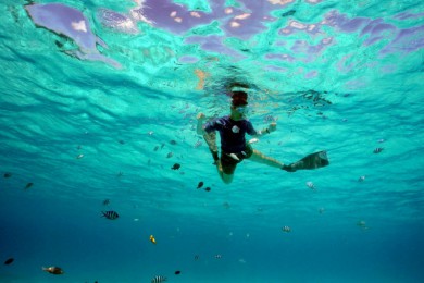 [ྭ6] ֱɻƱ+ƷƵ+г+̽++۹|Ͽ