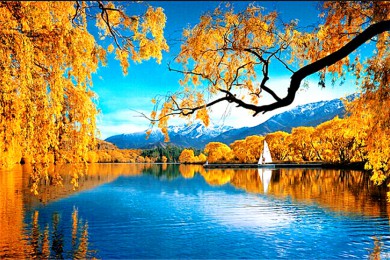 Ĵ·: [Ʒϵ8]+³+ᶡ+ʺ+ɿ+ɽ+ٿ|Сܼʱ