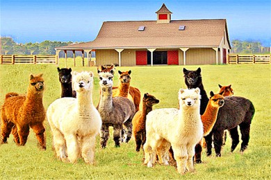 ·: [6] ʿ+Ǵ¥+ʢ+г+Ů|ңվ