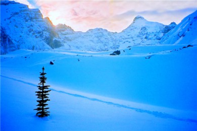 Ƶ·: [ɽ11] ܽҹ԰+˹+·˹ѩ+ά+ɽȪԡ+Ƶ򱱼|¸绪Уѡȫ