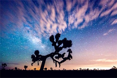 ǹ·: [ϳȻ֮8-] ɼ+˹ά˹+˳+Ͽ+Լҹ԰+ǹ|˽Ұ