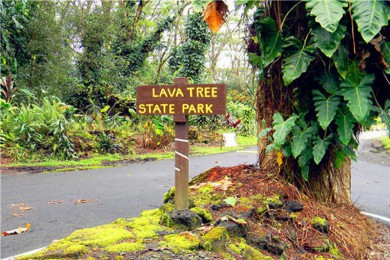 ·: 1죩[Ĵжȼ1]ٲ+ҽ̲+ҽ԰|ͻɽ