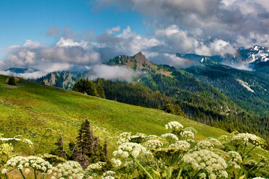 ͼĦ·: [7] ͼ+ʯ&ƥ˹ҹ԰+ƴ׺+˹|Ԫ꣬ɻ˸