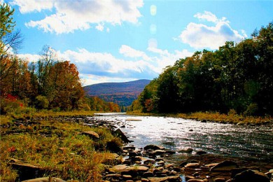 ˹·: [1]  Ļɽг+̽|Ȥ