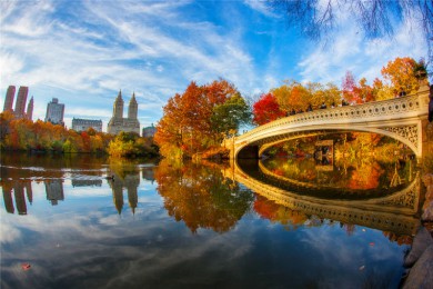 󶼻Ჩ·: [ŦԼCitywalk ]ֿ+빫԰+󶼻