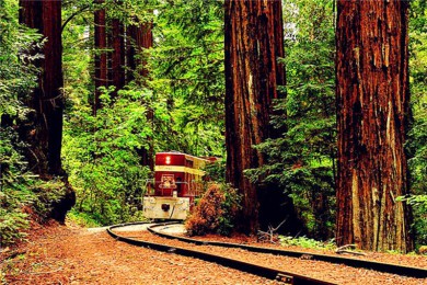 ·: [ɽɽܱ1]ľɭ+ʥ³ͷ|Ʊ