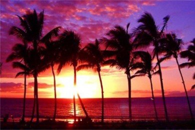 +·: [12] +ɽɽ+˹ά˹+ɼӰǣ士;źĸȻ붼ͬ