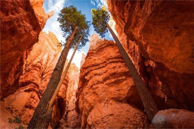 Ԩ·: [ʯ8] ʯ+Ѩ+˹Ͽ+Ͽ+˹|20꣬ҹ԰Ƶ