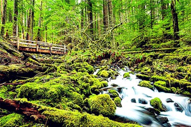 ͼĦ·: [ͼȻɾ֮4-] ͼ+ɿг+԰+ʢٴѧ+̫+ƥ˹ҹ԰|˽Ұ