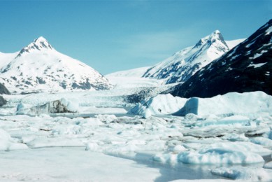 ˹ӵҹ԰·: [ݴ4] ݵٶ++ҹ԰+Ѷ˹|Խ𣬲񷶥𳵣ֽӸ