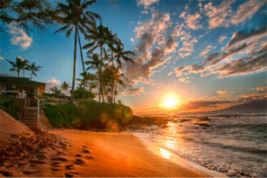 ·: [ӯ3] ٲ+ɭɳ̲+ɽҹ԰| ȴļ