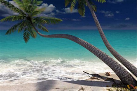 [λûɴ֮5-5] ̴ɽɴӰ+++ʯɽ+ɫɳ̲+ʹ | ˽Ұ