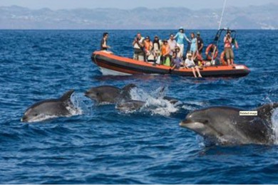 ˹̫·: [Ʒ4] ˹+°¶+̫+δ+ׯ԰|ʿ־ư