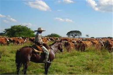 ͢-ϼ·: [͢12]ŵ˹˹+˹++˹+ʥǸ |+ٲ+ɽ+|ȸһ羫ѡС