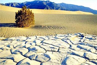 ɶƵ·: [8] ɼ+ɽɽ+˹ά˹+Ͽ+ȹҹ԰+Ӱ|ѡεʿ/ʥǸ