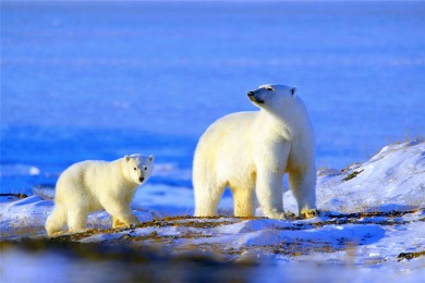 ·: [̽1]Сɻֱֱ󣬷ԭסׯܿʳ|֮