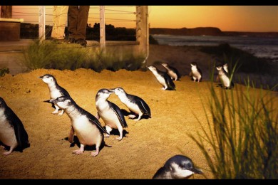 ˹·: [ī쵺һ]ֵ+Ұ԰ι״