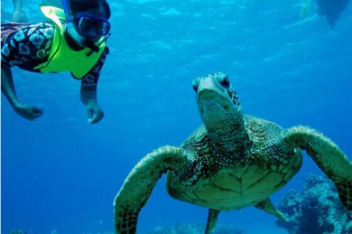 ƻ԰·: [Ͽȶ˫Ͽ7] ɼ+˹ά˹+Ͽ+˫Ͽ+Ѩ++ˮ+ɿ+Ŀѡ2|֮