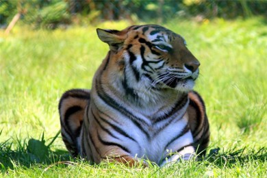 ˮ·: [̬3] ++ԼҰ԰+ǹҹ԰ | ̽Ϲҹ԰ λɾ֮