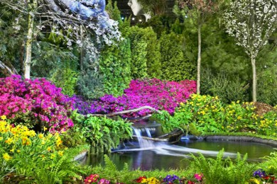 ·: [1] һ԰մʦ֮|ʻչ֮