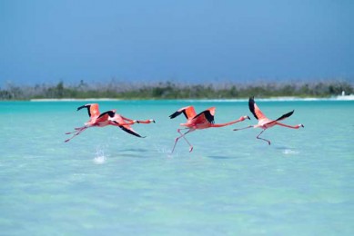 ī·: [5] +ۺ+ʿѡ| һɫ*ԷHyatt ZivaȫƵ