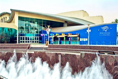 ̲;·: [Ӻ̽1] ̲۾+̫ƽˮ+ɻž |˽Ұ