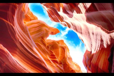 ߹԰·: [+14]ŦԼ+ѳ+ʢ+Ǽٲ+ʿ+˹ά˹+Ͽȹҹ԰+Ѩ+ɼ+ɽɽ+ʤعҹ԰|ӻ