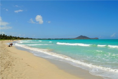 ·С·: [ѡ5] ŷɫг|ϳ쾡