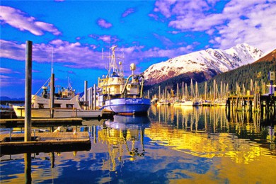 ·: ˹ļ | ֵ -  /͸۴ͳƱ