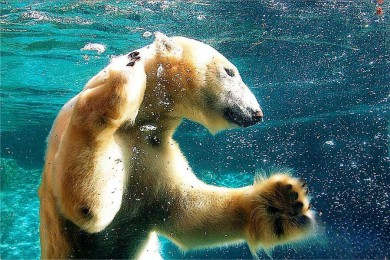 ̲·: [9] ˹ά˹+Ͽ+ɼ+ɽɽ+ʤ+17+Ŀѡ|黶 