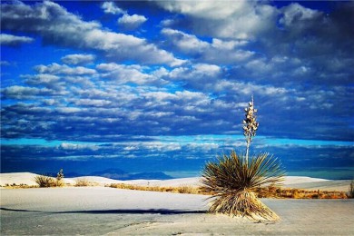 ʥ·: [7] λðɳ+ֽʯ+ճ+˳|ظԭɳ֮ãǲ