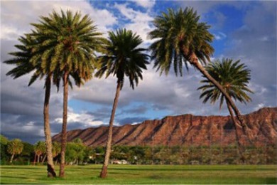 ·: [5]ŷ+++С+Ļ|Ʊ