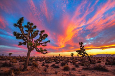 ·: [9] Ͽ+Ѩ++ɳ+ϰ»ׯ԰2ĳ2|ʥĪῨ