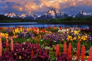 ˹۾·: [С7] ʯ2Сľݣ17󾰵㣬-Ѩ-|۳ СVIP