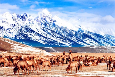 ʯ·: [Ƿ5] ʯκǽɽׯѩС|ѩذʿ+ѡƵ