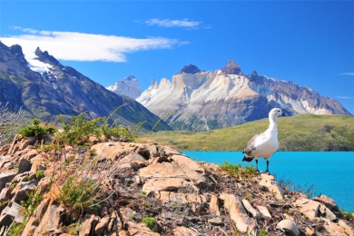 ʥǸ磨·: [ӡ19] ͢+ɵ+׿˺Ͽ+صҹ԰+ϼ | ;ɫ 