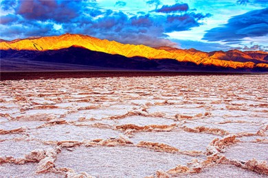 Ͽȹҹ԰·: [ң8] ++ʤ+Ͽ+Ӱǣɼѡ|ҹ԰԰