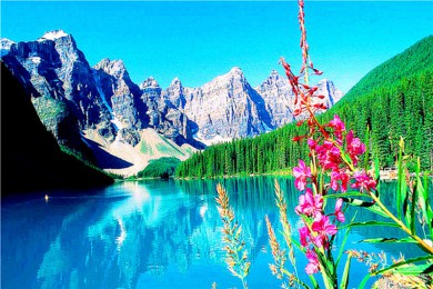 ҹ԰·: [ô5] 4ҹ԰ܽ+˹+ź+|ס1ܽСԭѩ Խ