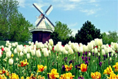 ʥ·: ֥Ӹ磬ݣɽҹ԰ɰ