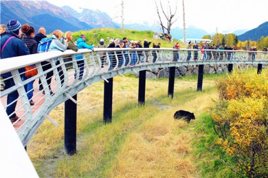 Ұﱣ·: [] ʷ׳|˹ӹֽӸ