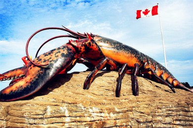 ٲ·: [4] ٲ+ĵ̲+ݲ++ɽ|»ӵȻ