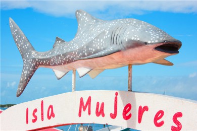 ī·: ˫巫Ů˵Ѳ+Ǳ 1